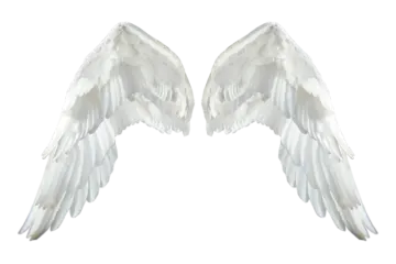 two white wings on a white background