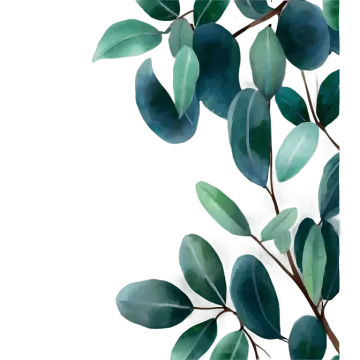 a watercolor painting of leaves on a white background