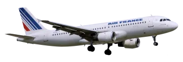 the plane is white
