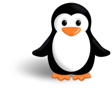 a black and white penguin with an orange beak