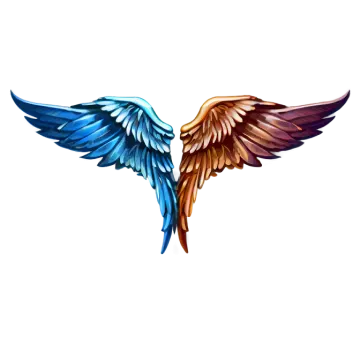 a pair of wings on a white background