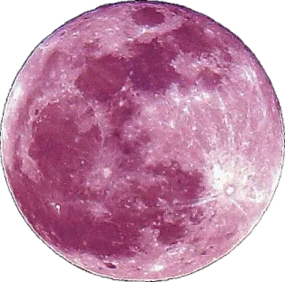 an image of the moon with a white background