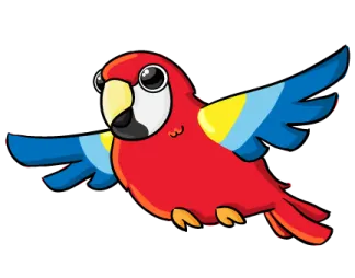 a parrot flying with its wings spread out