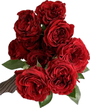 a bouquet of red roses