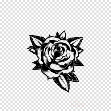 a rose tattoo design on a transparent background
