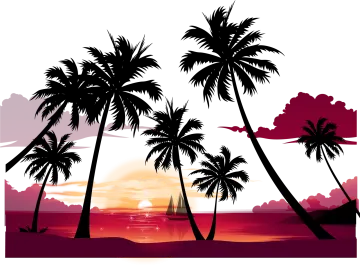 palm trees on the beach at sunset