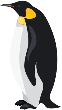 a black and white penguin with yellow eyes