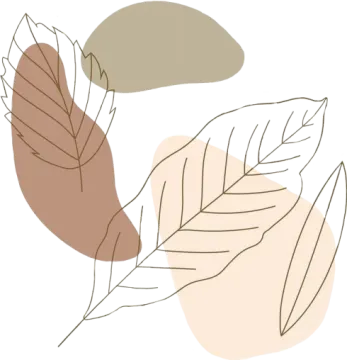an illustration of a leaf