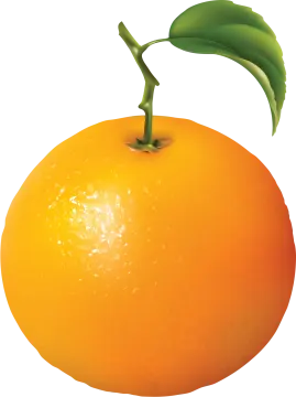an orange with a green leaf on top