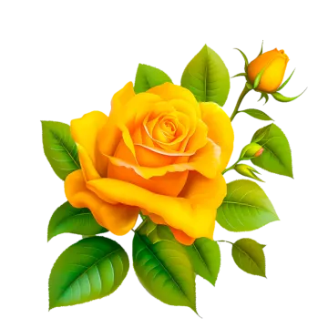 a yellow rose with green leaves