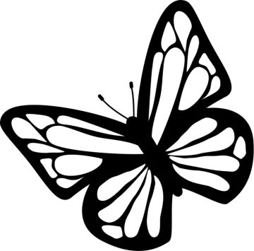 a black and white butterfly
