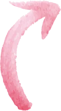 a pink feather on a white background