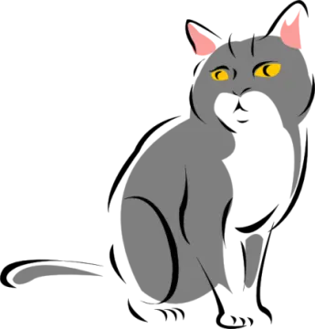 a gray cat with yellow eyes