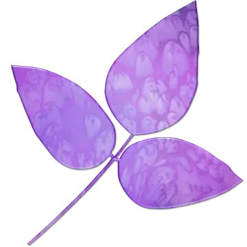 a purple leaf on a white background