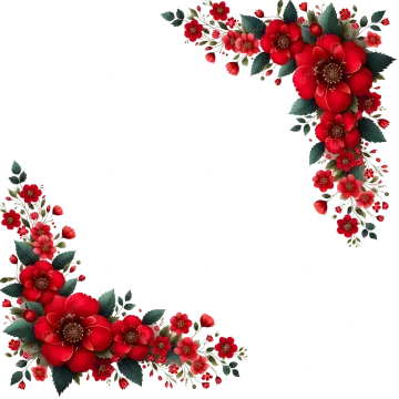 red flowers on a white background