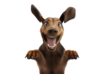 a dog with its mouth open and it's tongue out