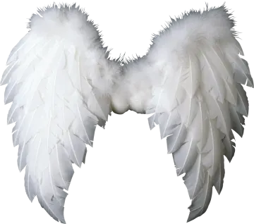 a pair of white wings on a white background