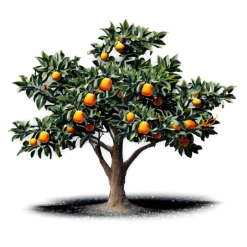 an orange tree with fruit on it