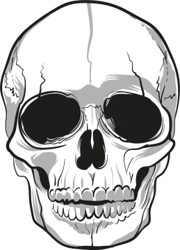 a black and white drawing of a skull