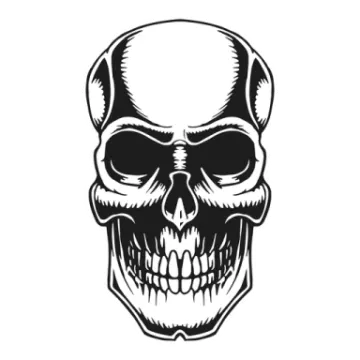 a black and white skull on a white background