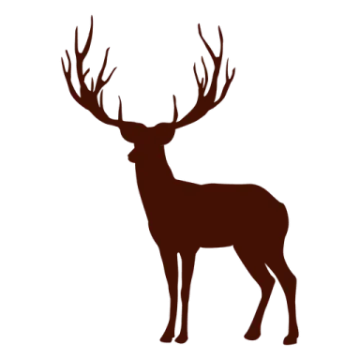a deer silhouetted on a white background