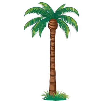 a palm tree on a white background