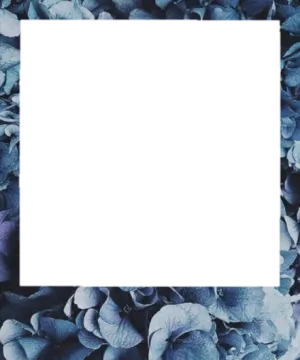 a frame with blue flowers on it