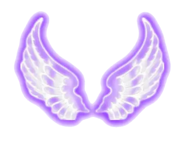 a pair of white wings on a white background