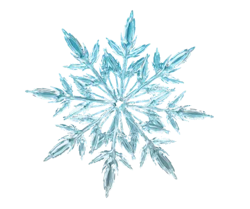 an image of a snowflorer