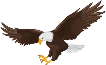 an eagle flying with its wings spread