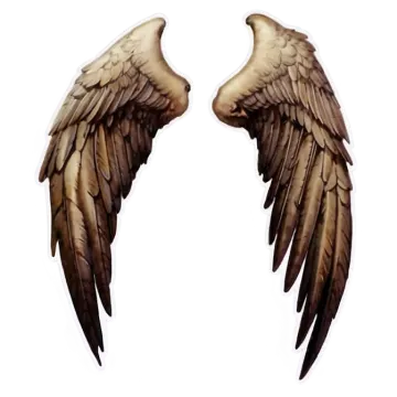 two wings on a white background