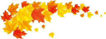 a bunch of colorful autumn leaves
