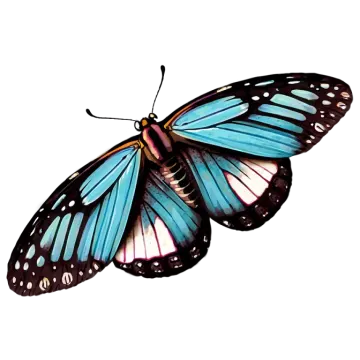 a blue butterfly on a white background