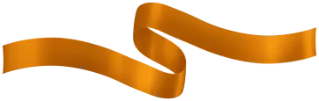 an orange ribbon on a white background