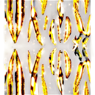 a picture of a bunch of bananas on fire