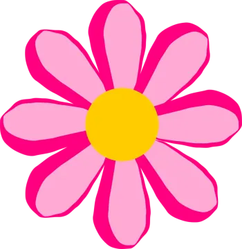 a pink flower with yellow center