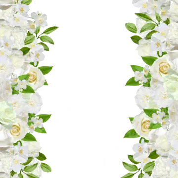 a white flower border with green leaves