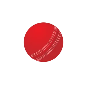 a cricket ball on a white background