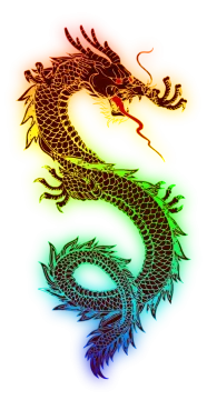 two dragon tattoos on white background