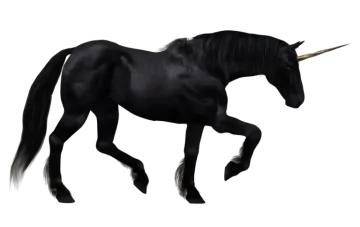 a black unicorn standing on its hinds