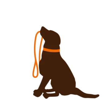 a silhouette of a dog with a leash