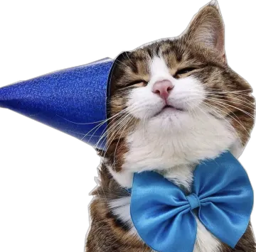 a cat wearing a blue hat and bow tie