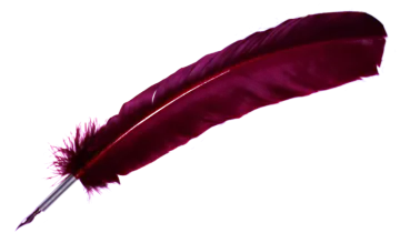 a red feather on a white background