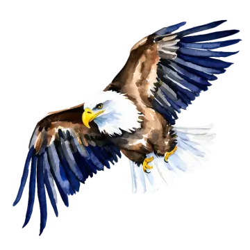 a watercolor painting of an eagle flying
