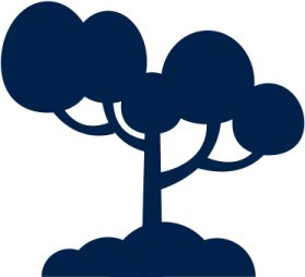a tree in the middle of a white background