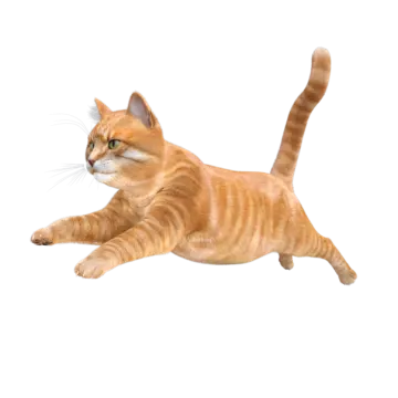 a small orange cat playing with a toy