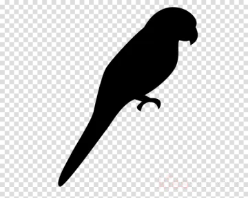 a black silhouette of a bird on a branch