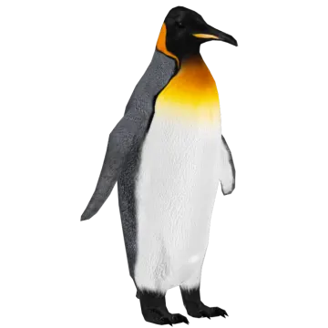 a penguin standing on its hinds