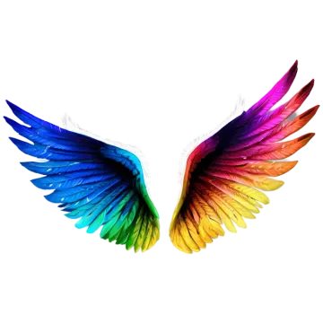 an image of a rainbow colored wing