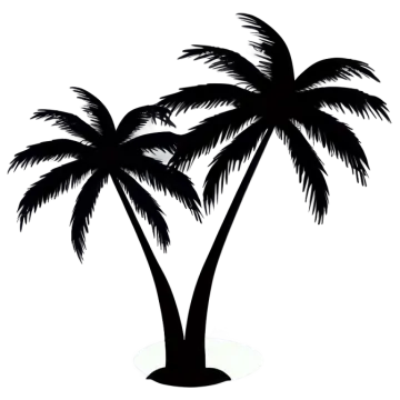 a palm tree silhouetted against a white background